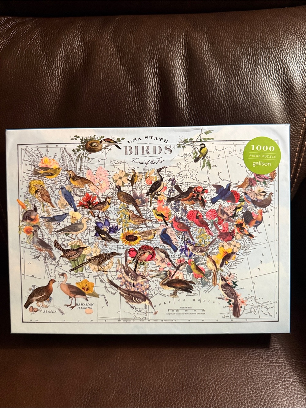 Galison USA State Birds puzzle 1000 pieces. Has poster